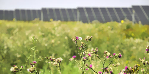 0.27元/千瓦時:德國太陽能招標中標價創最低紀錄